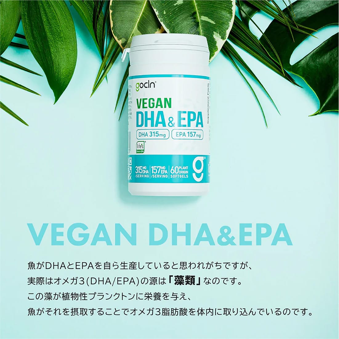 ＜ヴィーガンセットコース＞自然派植物性プロテイン  2個＋DHA&EPA2個 - gocln