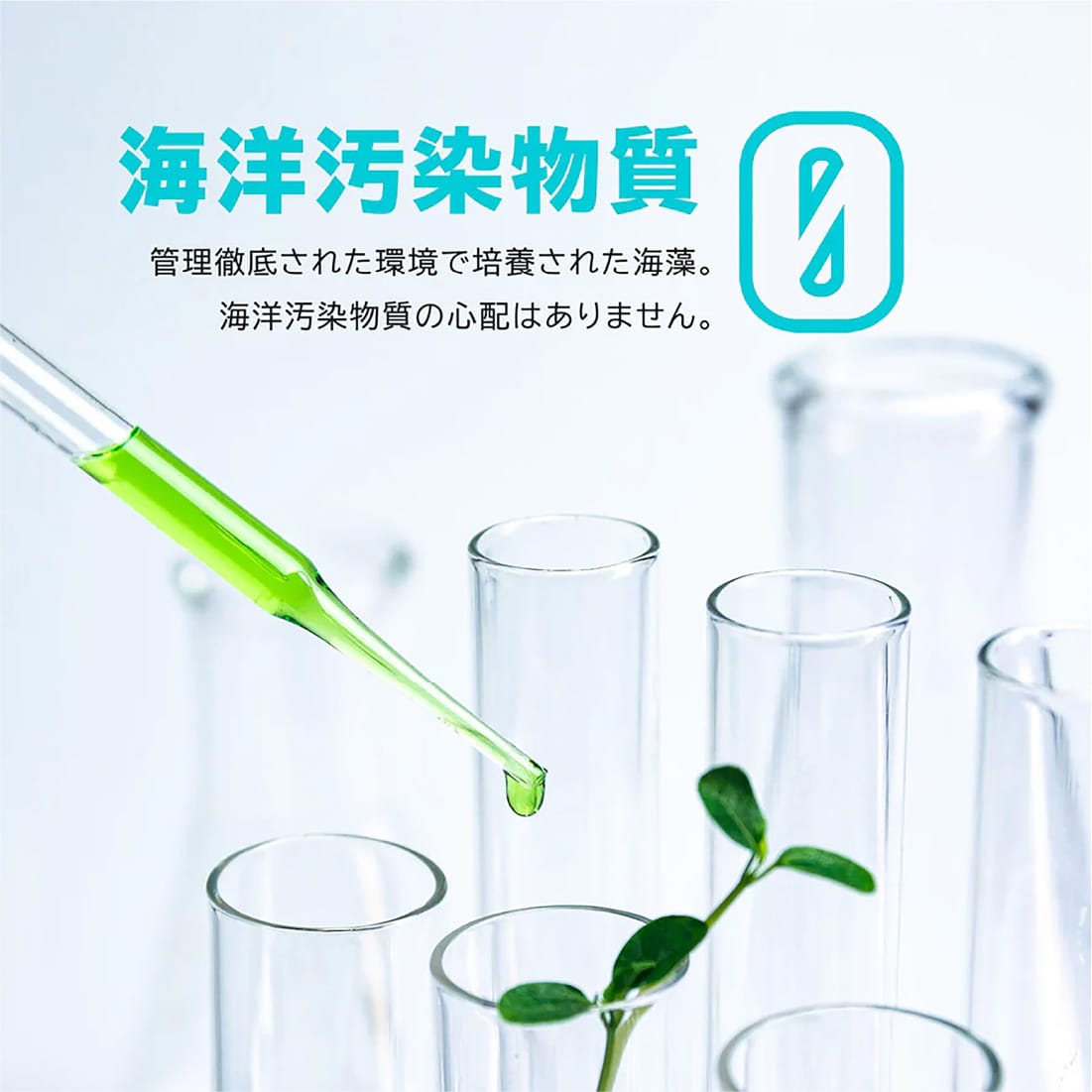 ＜ヴィーガンセットコース＞自然派植物性プロテイン  2個＋DHA&EPA2個 - gocln