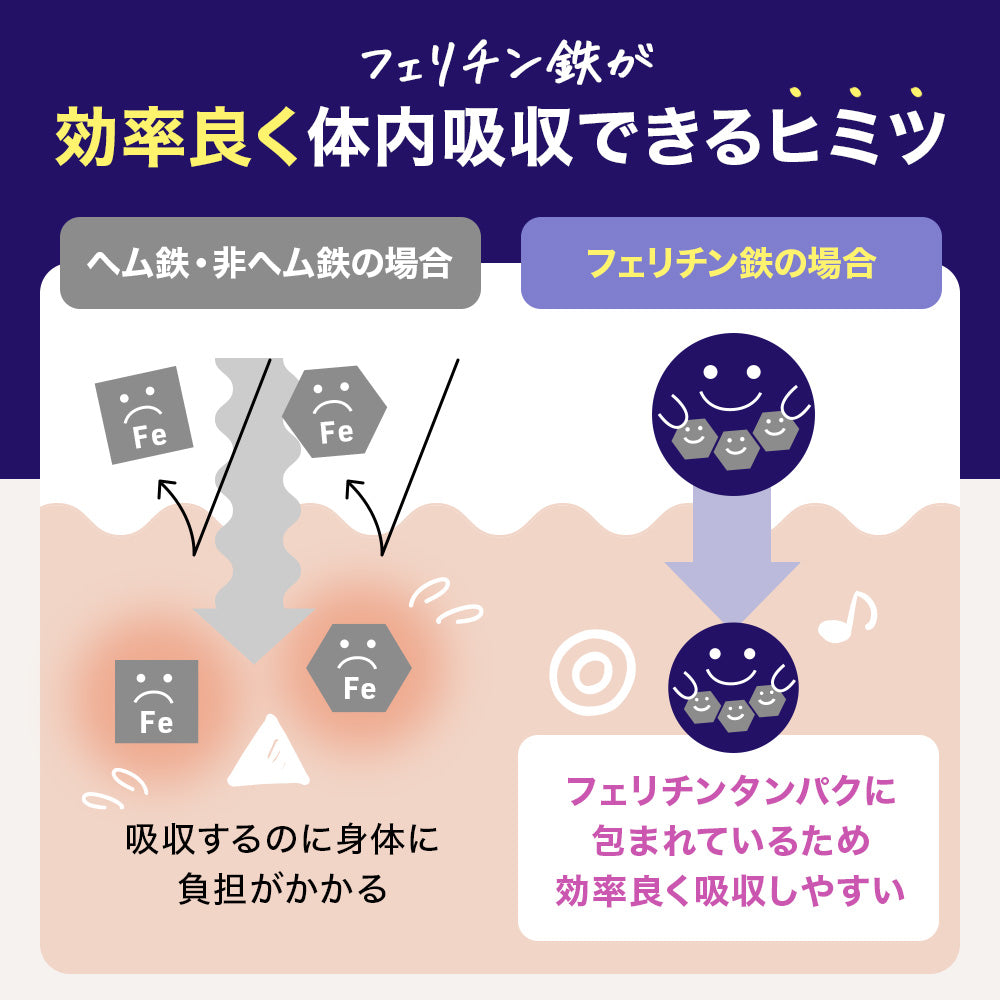 親子で飲める 鉄 10mg/日 20カプセル